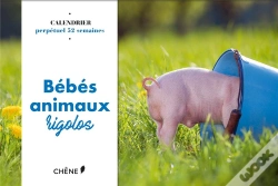 Capa do artigo Calendrier 52 Semaines Bebes Animaux Rigolos