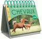 Calendrier - Almaniak Pensees Pour Les Amoureux Des Chevaux 2018 - Preview