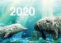 Calendrier Auderset 2020 - Preview