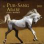 Calendrier Du Pur-Sang Arabe - Preview