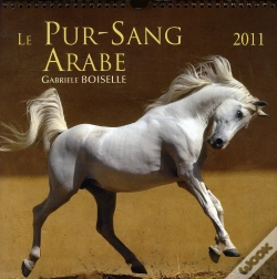Capa do artigo Calendrier Du Pur-Sang Arabe