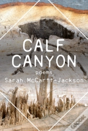 Capa do artigo Calf Canyon