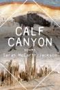 Calf Canyon - Preview