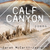 Capa do artigo Calf Canyon