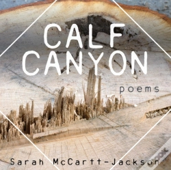 Capa do artigo Calf Canyon
