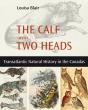 Calf With Two Heads - Preview