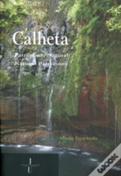 Capa do artigo Calheta