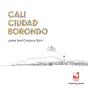 Cali Ciudad Borondo - Preview