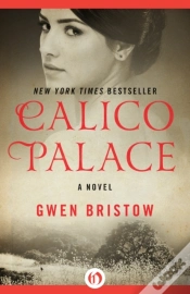 Capa do artigo Calico Palace