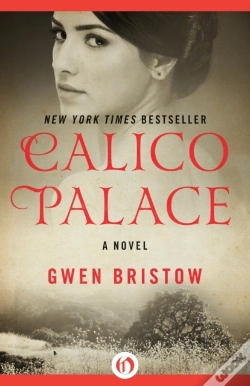 Capa do artigo Calico Palace