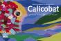 Calicobat - Preview