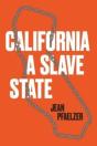 California, A Slave State - Preview
