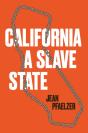 California, A Slave State - Preview