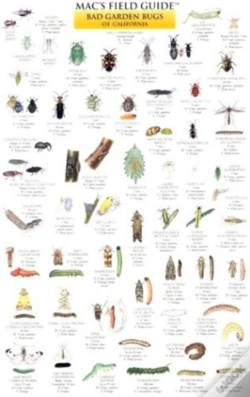 Capa do artigo California Garden Bugs