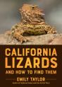 California Lizards And How To Find Them - Preview