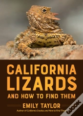 California Lizards And How To Find Them