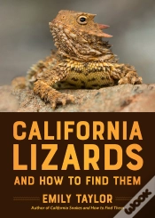 Capa do artigo California Lizards And How To Find Them