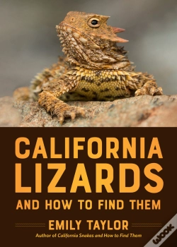 Capa do artigo California Lizards And How To Find Them