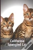 California Spangled Cat
