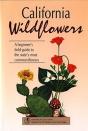 California Wildflowers - Preview
