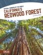 Californiaâ€™S Redwood Forest - Preview