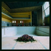 Capa do artigo Call in the Crash Team - CD