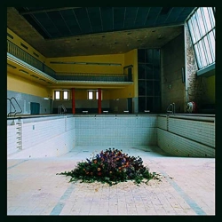 Capa do artigo Call in the Crash Team - CD