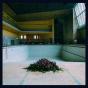 Call in the Crash Team - Vinil - Preview