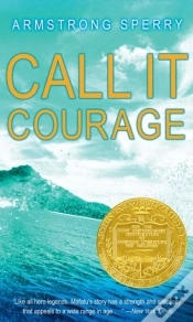 Capa do artigo Call It Courage