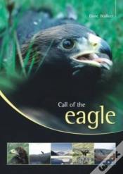 Capa do artigo Call Of The Eagle