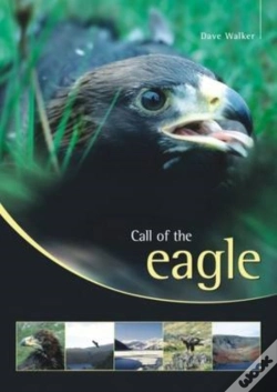 Capa do artigo Call Of The Eagle