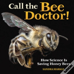 Capa do artigo Call The Bee Doctor!