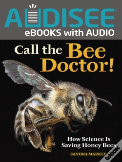 Capa do artigo Call The Bee Doctor!