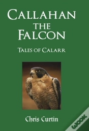 Capa do artigo Callahan The Falcon