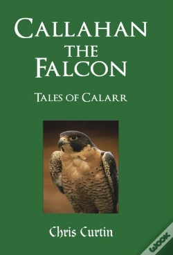 Capa do artigo Callahan The Falcon