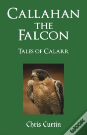 Capa do artigo Callahan The Falcon
