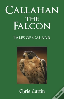 Capa do artigo Callahan The Falcon