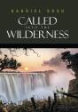 Called Into The Wilderness - Preview