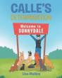 Calle'S Determination - Preview