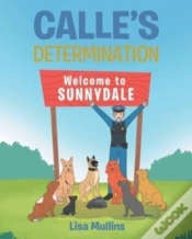 Capa do artigo Calle