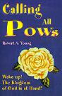 Calling All Pows - Preview