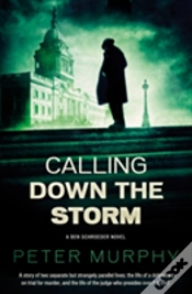 Capa do artigo Calling Down The Storm