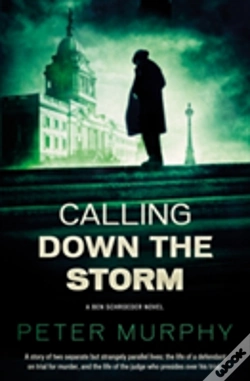 Capa do artigo Calling Down The Storm