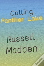 Capa do artigo Calling Panther Lake