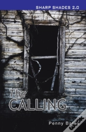 Capa do artigo Calling  (Sharp Shades)