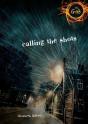 Calling The Shots - Preview