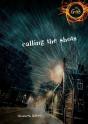 Calling The Shots - Preview