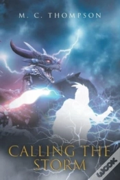 Capa do artigo Calling The Storm
