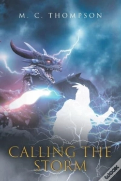 Capa do artigo Calling The Storm