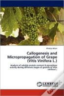 Callogenesis And Micropropagation Of Grape (Vitis Vinifera L.)